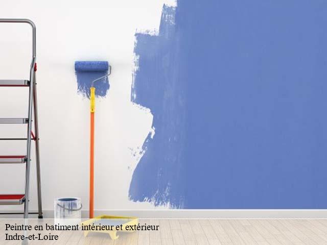 Peintre en batiment intérieur et extérieur Indre-et-Loire 