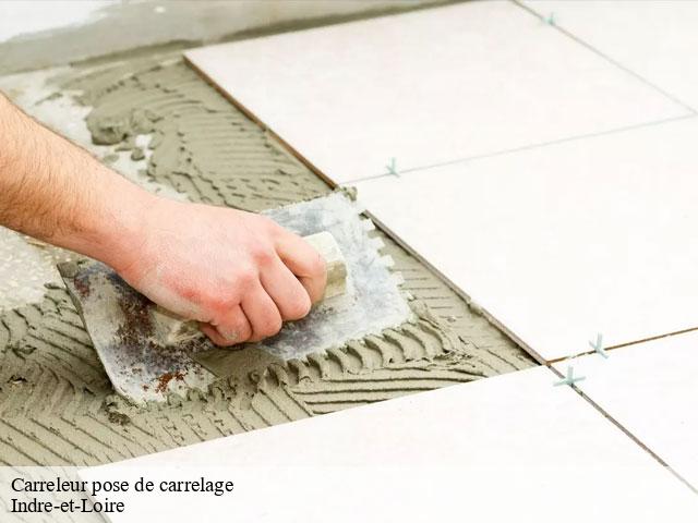 Carreleur pose de carrelage Indre-et-Loire