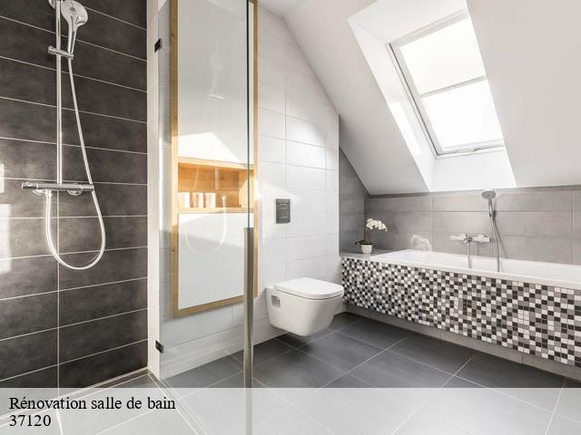 Rénovation salle de bain  37120