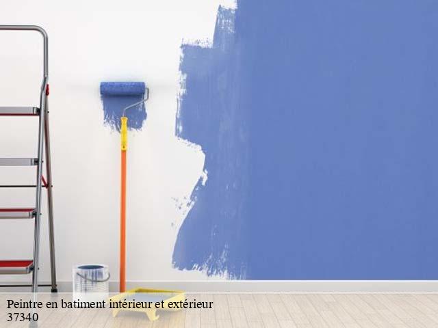 Peintre en batiment intérieur et extérieur  37340