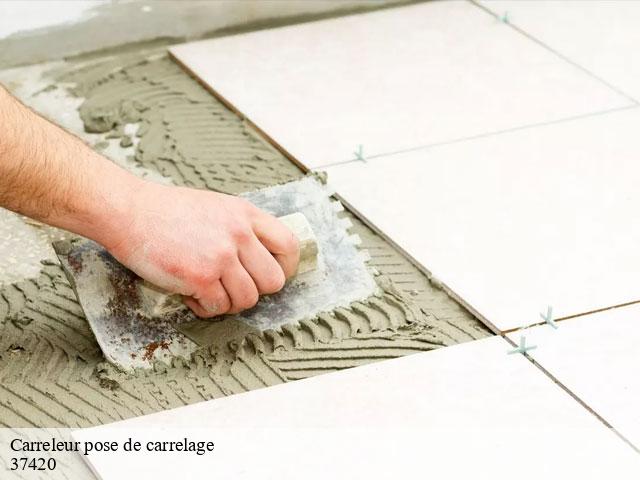 Carreleur pose de carrelage  37420